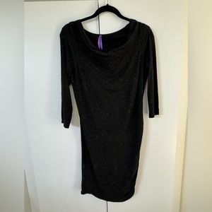 Seraphine Maternity dress US 4